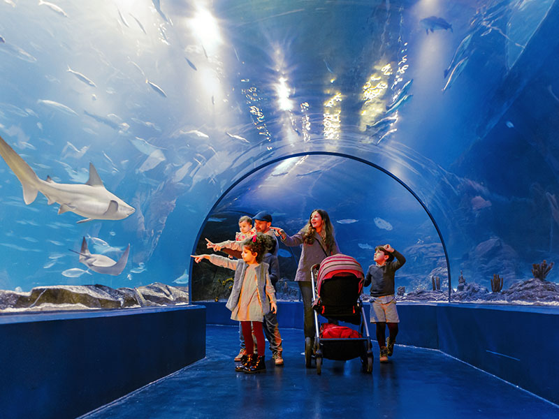 Atlantis Aquarium Madrid